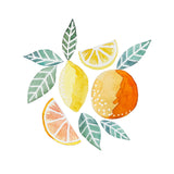 WATERCOLOR CITRUS ARTWORK - DIGITAL DESIGN FILES