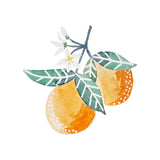 WATERCOLOR ORANGES ARTWORK - DIGITAL DESIGN FILES